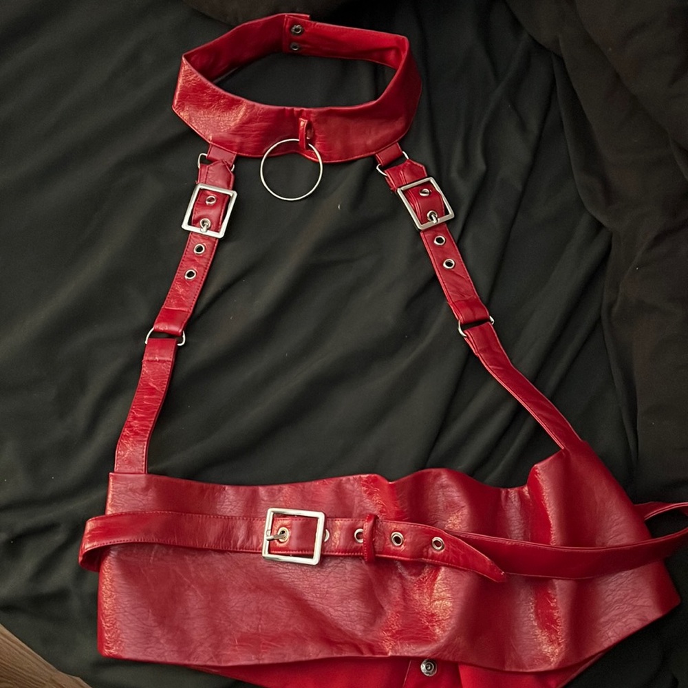 Harness